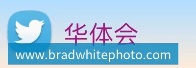 乐鱼体育体育体育曼晚:加斯科因当年为钱拒曼联选热刺结果后悔终身,M费要注意了 乐鱼体育体育体育曼晚:加斯科因当年为钱拒曼联选热刺结果后悔终身,M费要注意了